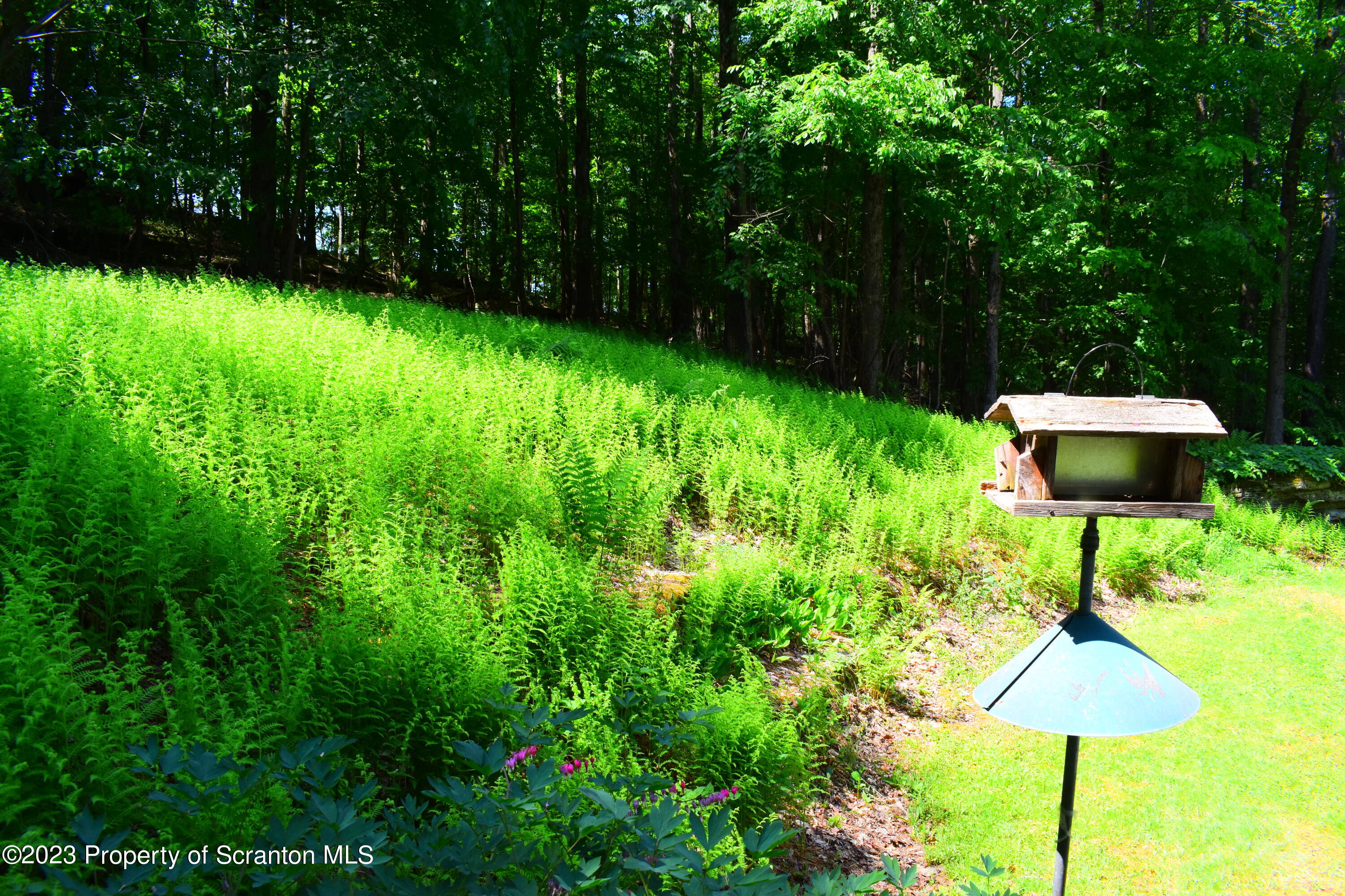 510 Hawranick Road Brackney, PA 18812 - Photo 65 of 76