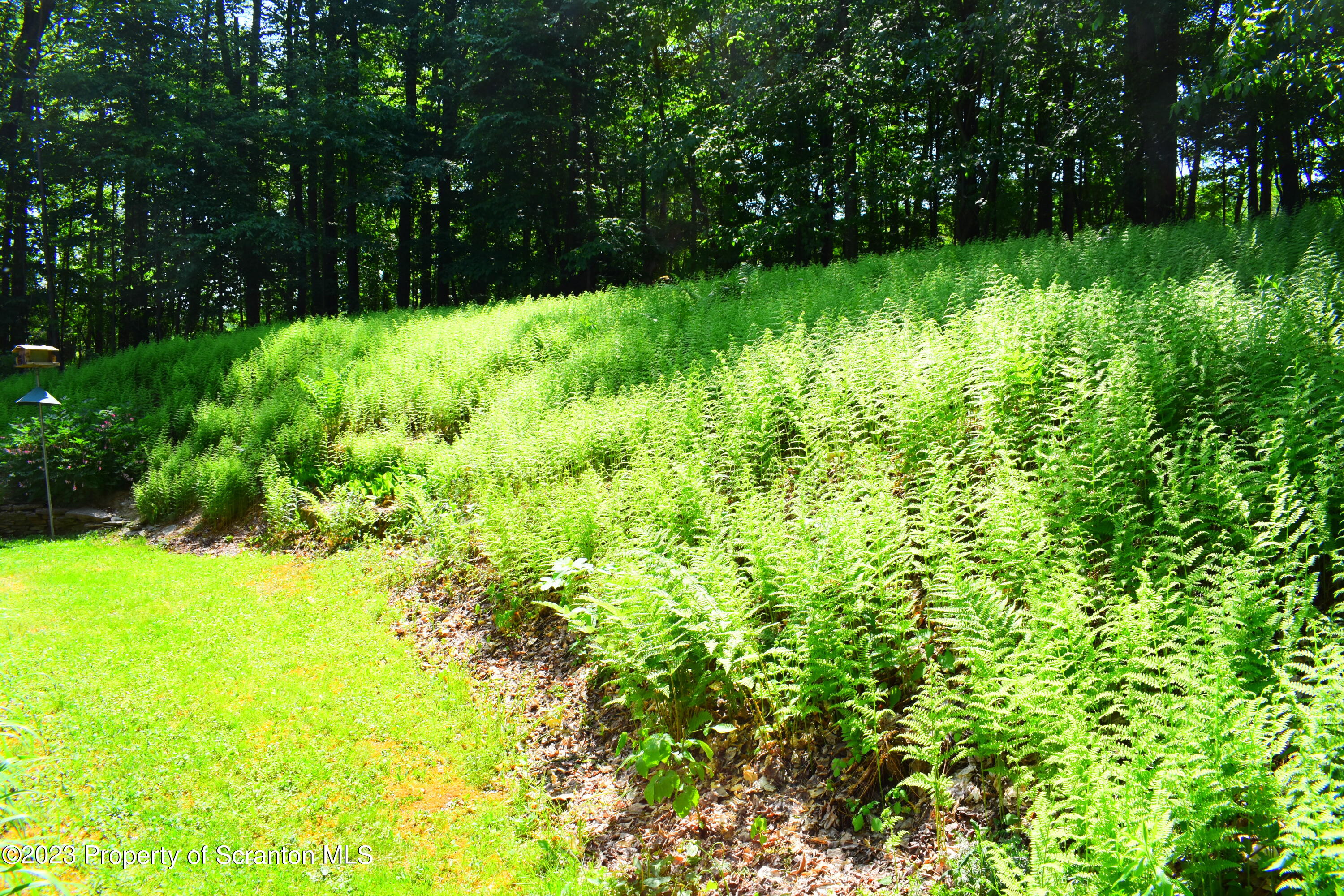 510 Hawranick Road Brackney, PA 18812 - Photo 68 of 76