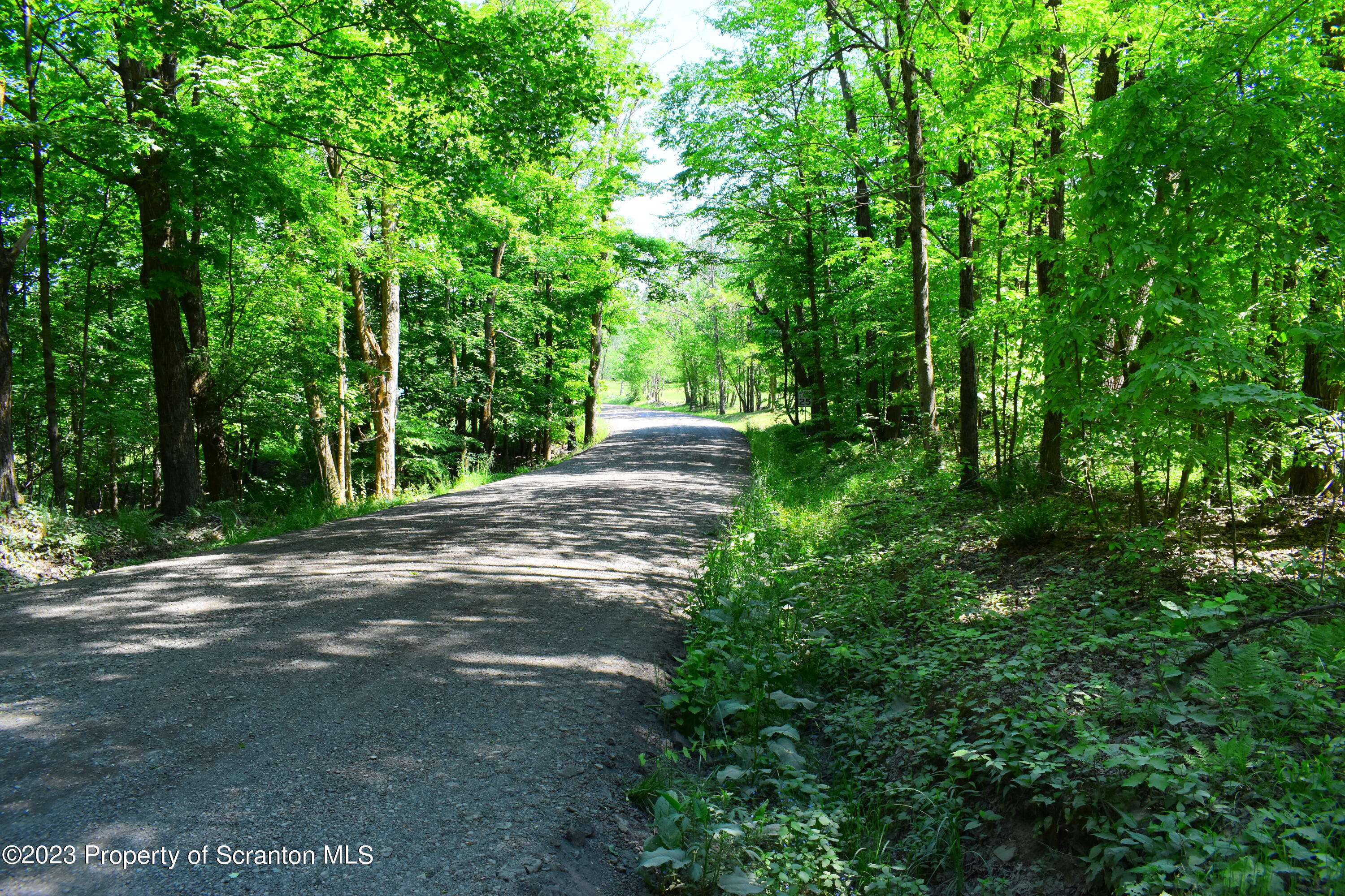 510 Hawranick Road Brackney, PA 18812 - Photo 74 of 76 a view of a yard with large trees