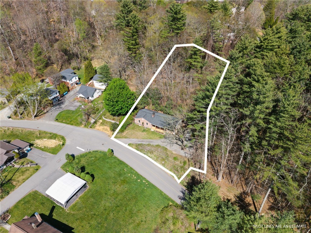 172 Park Street Boone, NC 28607 - Photo 3 of 48