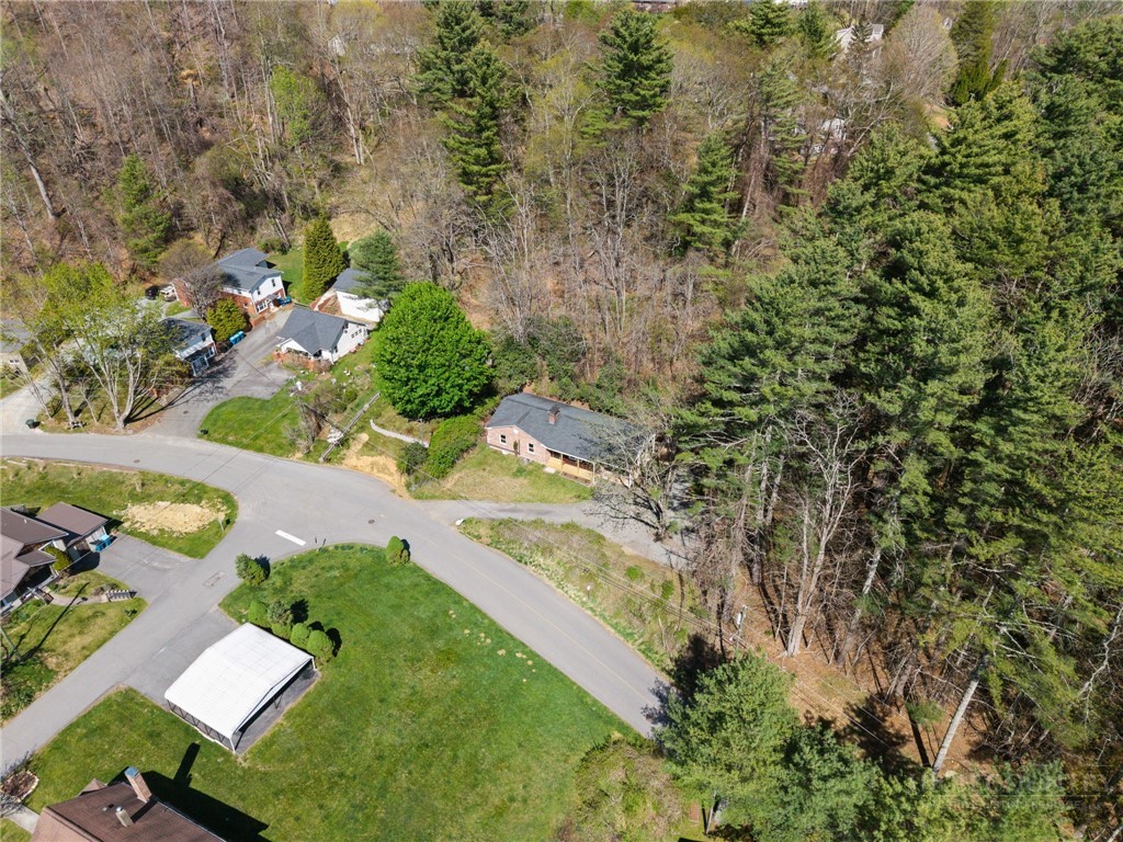 172 Park Street Boone, NC 28607 - Photo 4 of 48