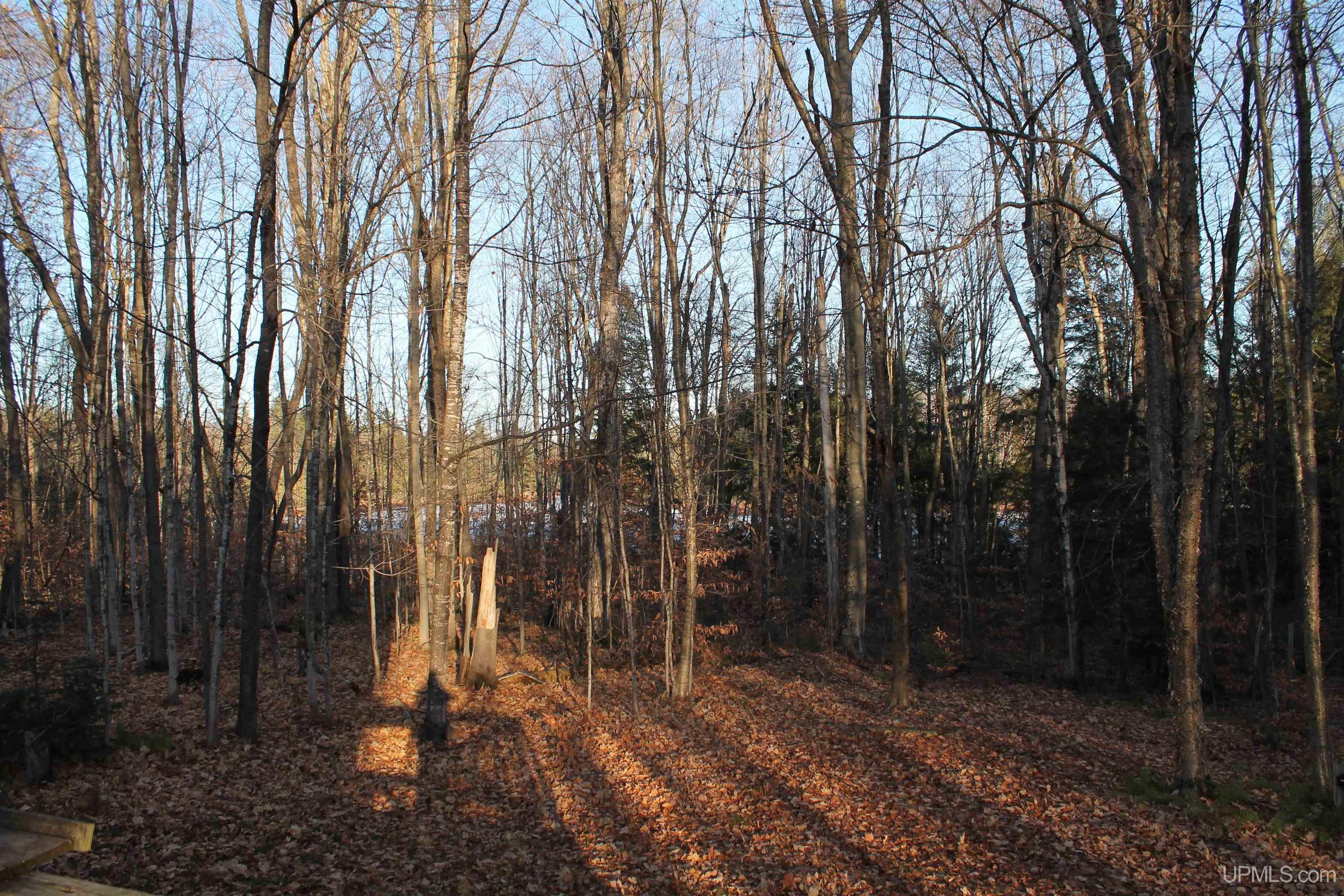 7042 East County Road 440 Road Wetmore, MI 49895 - Photo 78 of 78