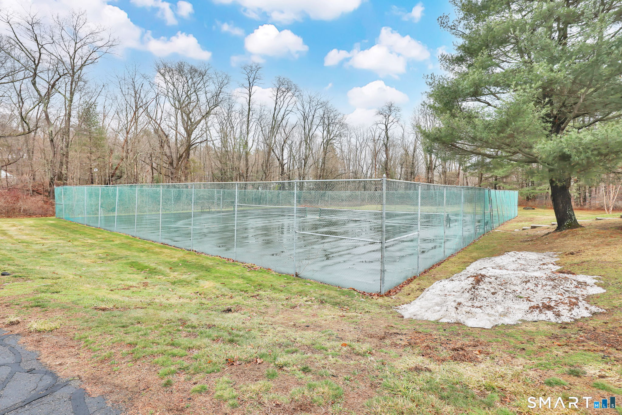 8 Whirling Dun, Unit 8 Canton, CT 06019 - Photo 26 of 28 a view of a yard with large trees