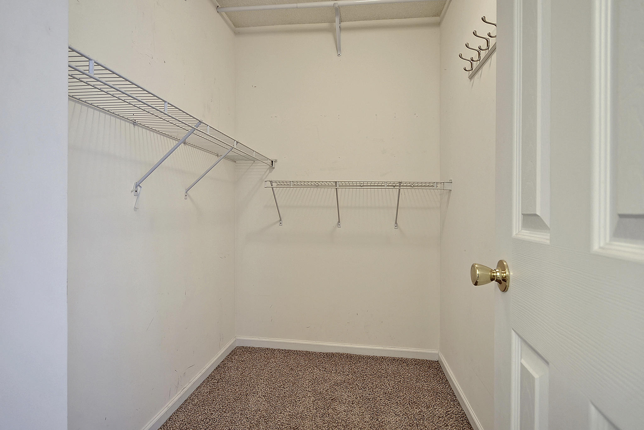 476 Doane Way Wando, SC 29492 - Photo 11 of 23 Walk-in Closet