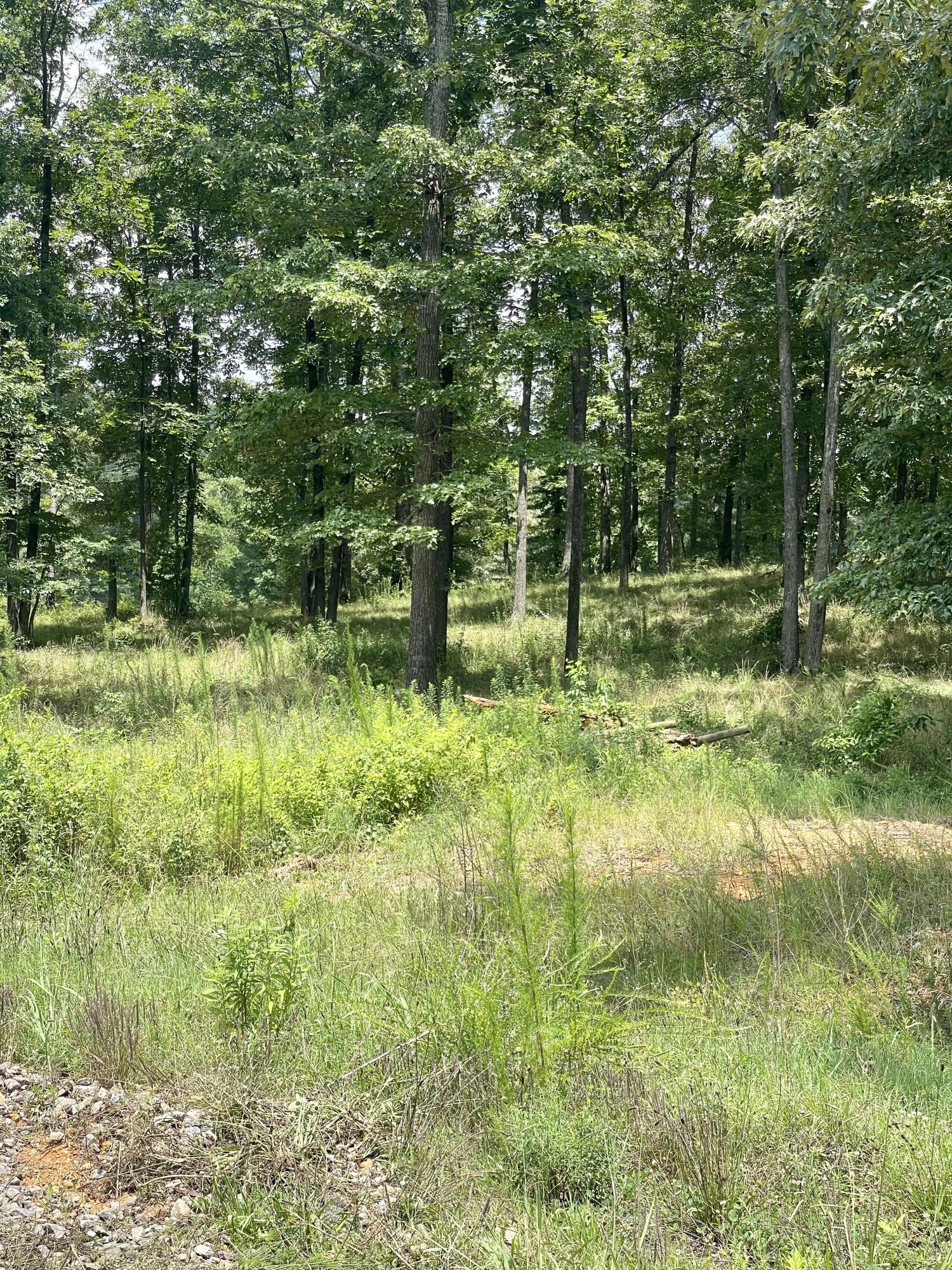 1511 Back Penn Road Summerville, GA 30747 - Photo 67 of 70 IMG_9986