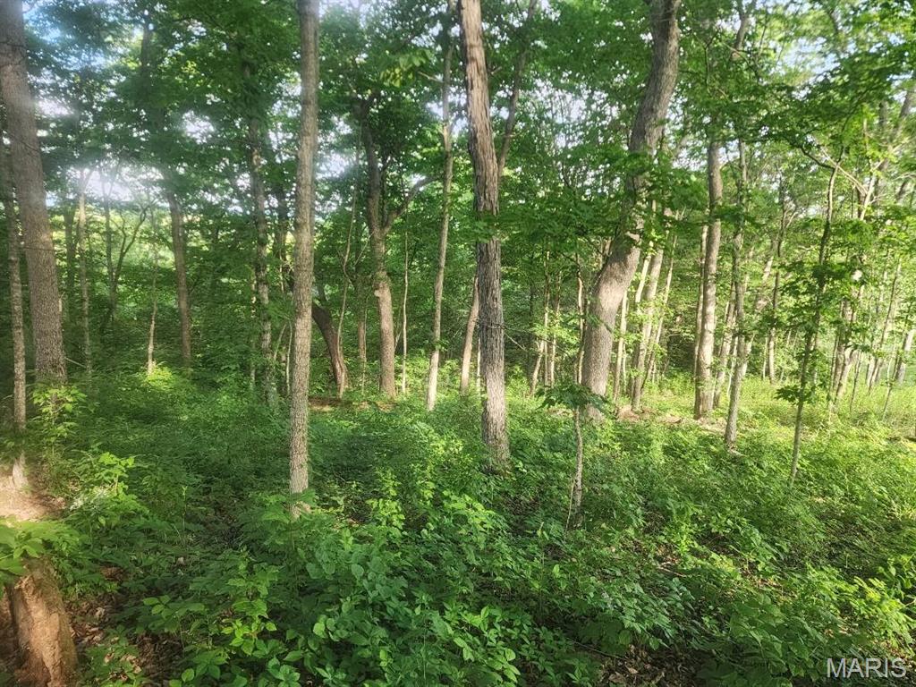 22206 Tree Farm Hermann, MO 65041 - Photo 5 of 9