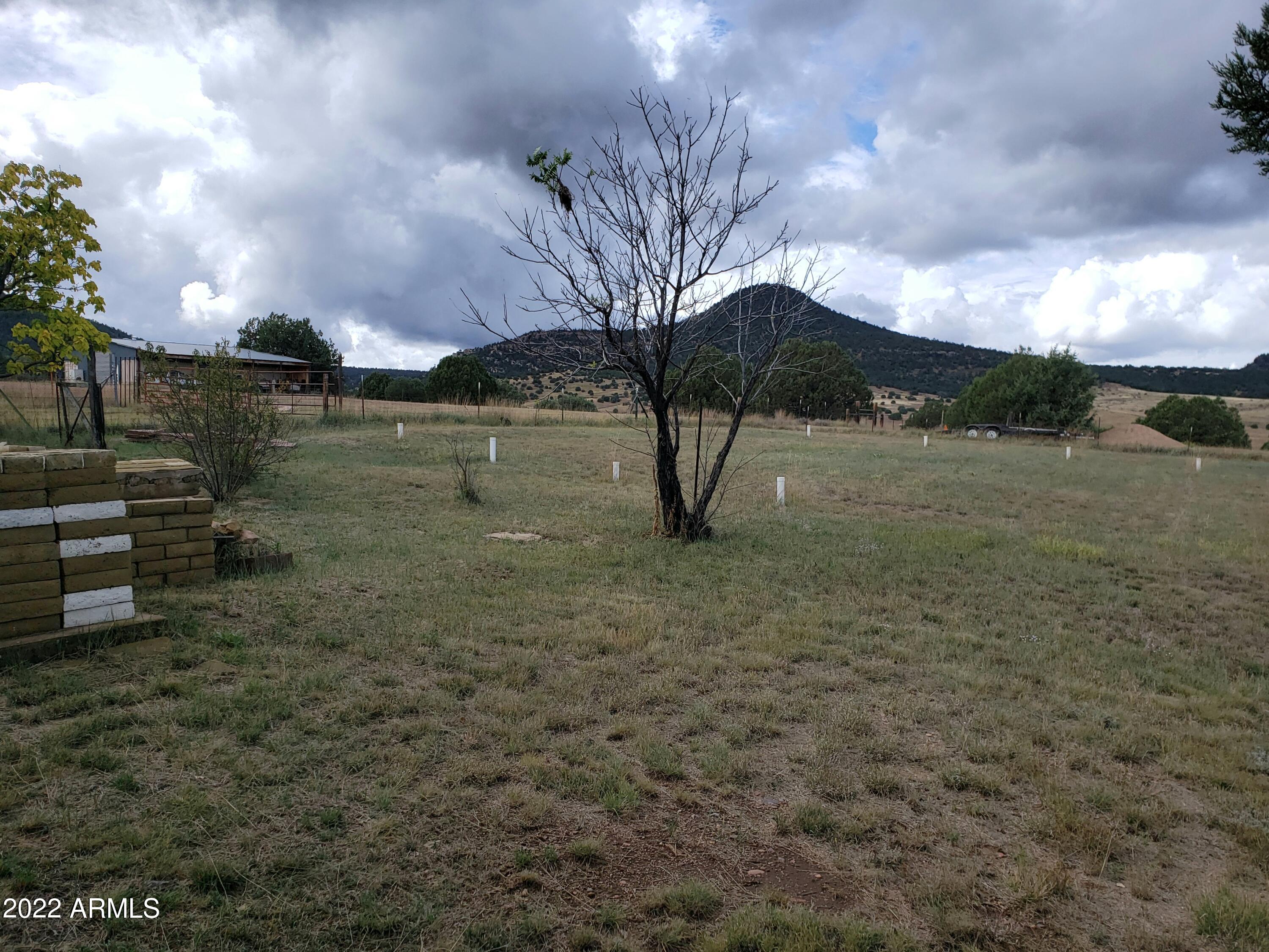 306 Rolling Hills Road Young, AZ 85554 - Photo 34 of 42 Back Yard & Septic leach field