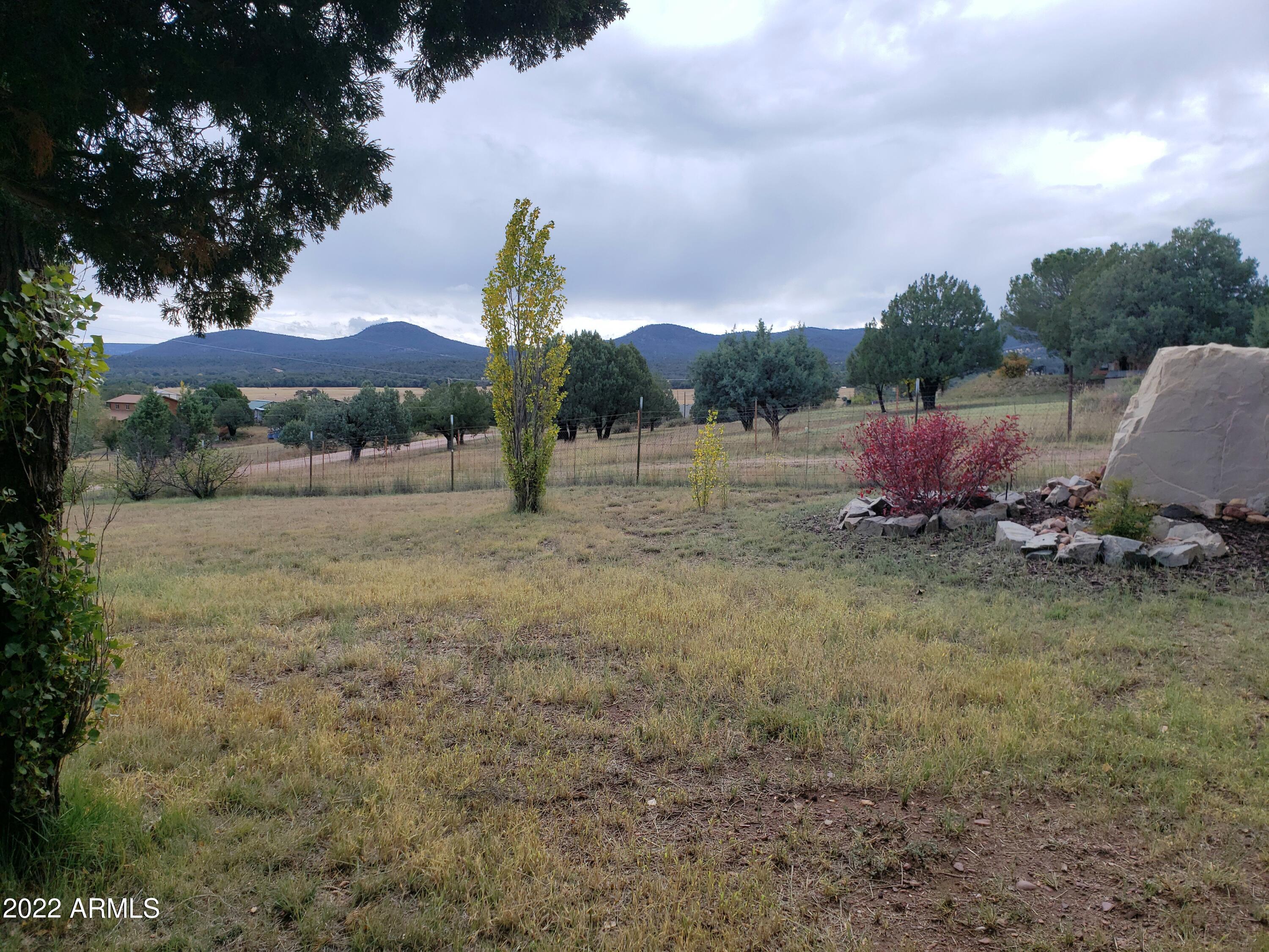 306 Rolling Hills Road Young, AZ 85554 - Photo 40 of 42 View across side yard to S