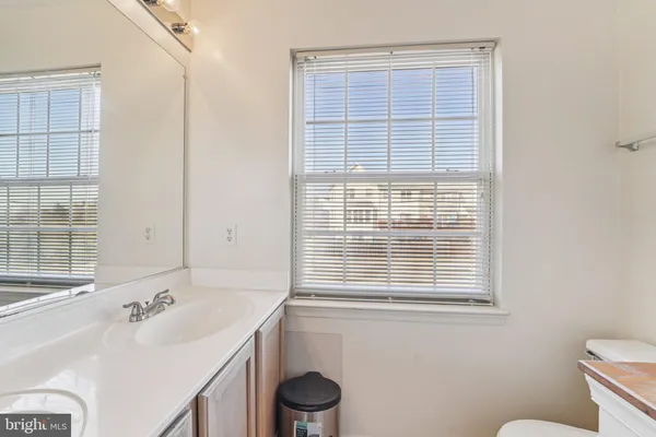 a bathroom with a sink and a toilet