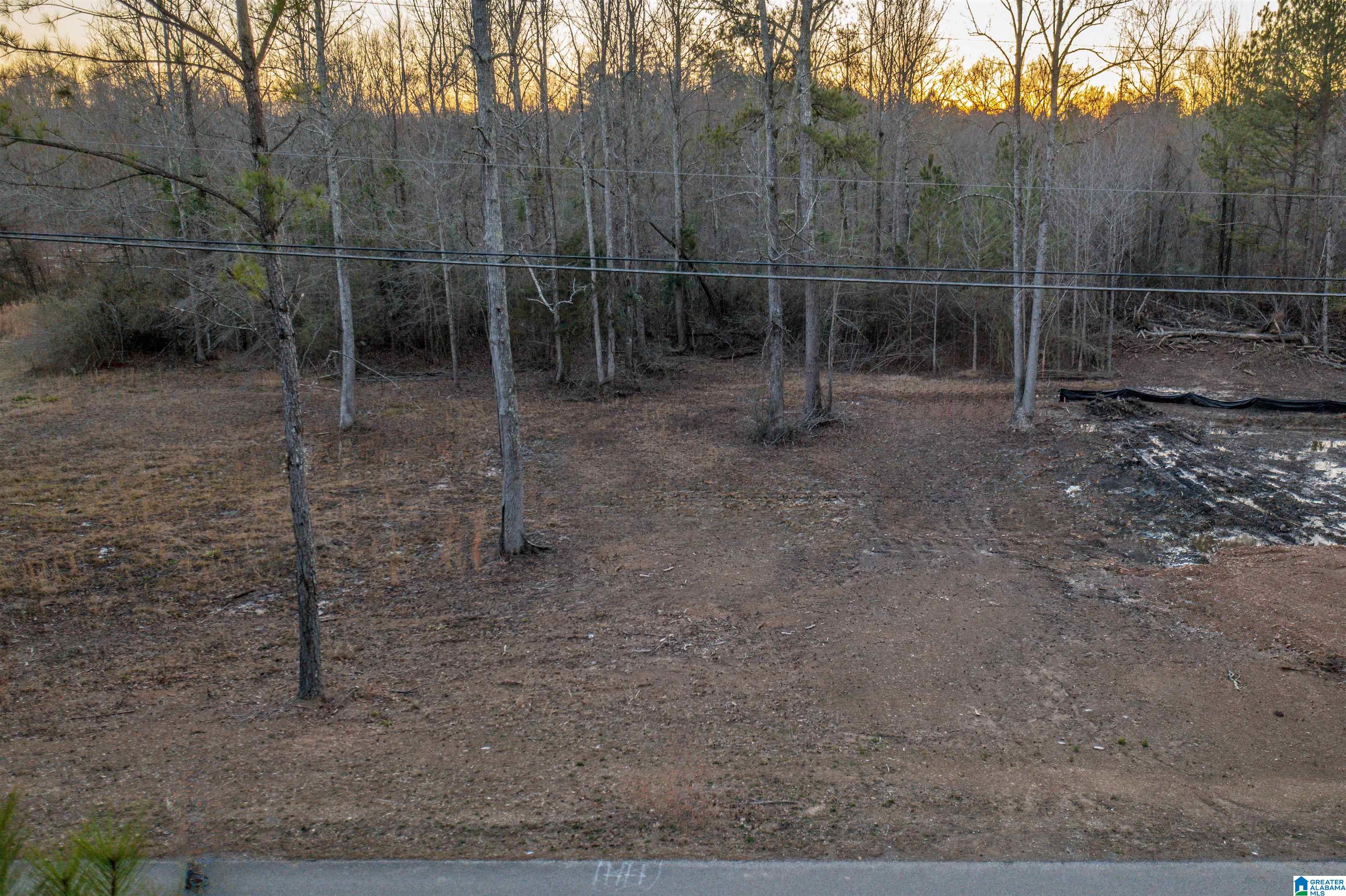 1845 Reads Mill Road, Unit 1 Wellington, AL 36279 - Photo 5 of 11