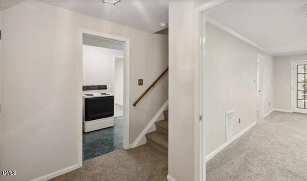 3317 Harden Road Raleigh, NC 27607 - Photo 33 of 52