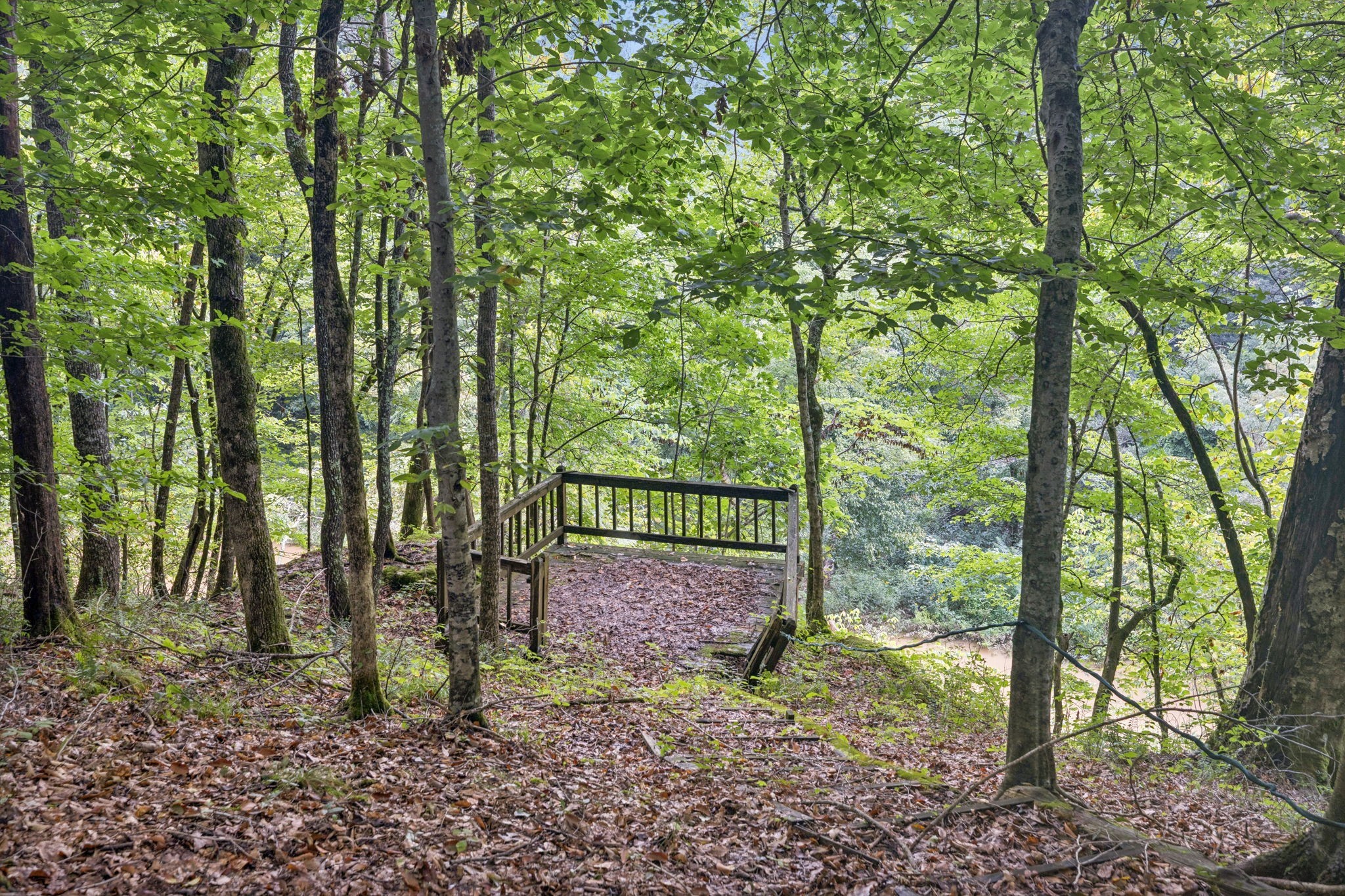 602 Gaither Hinson Road Waynesboro, TN 38485 - Photo 55 of 69 a view of a park that has large trees