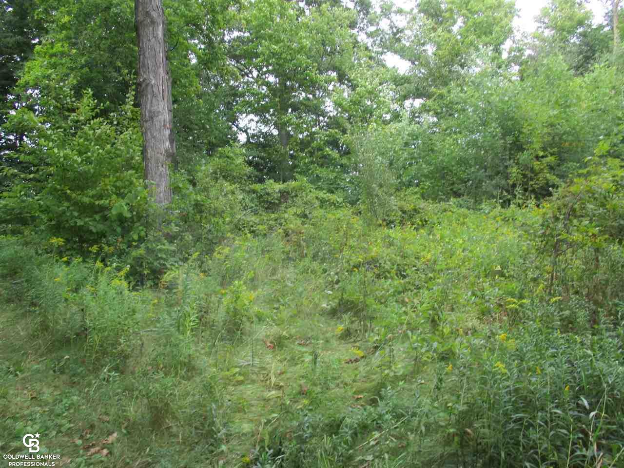 0 Fox Ridge Lane Allenton, MI 48002 - Photo 7 of 12