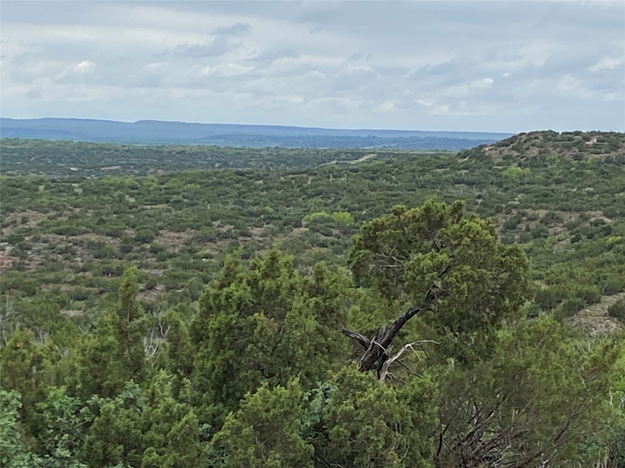 906 C R 235 Old Glory, TX 79540 - Photo 3 of 40 Mountain view featuring a forest