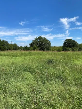 a view of a lush green space
