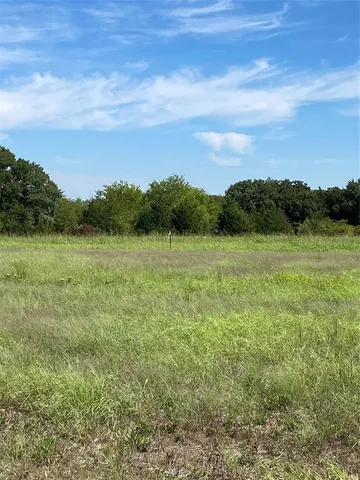 a view of a field with an ocean