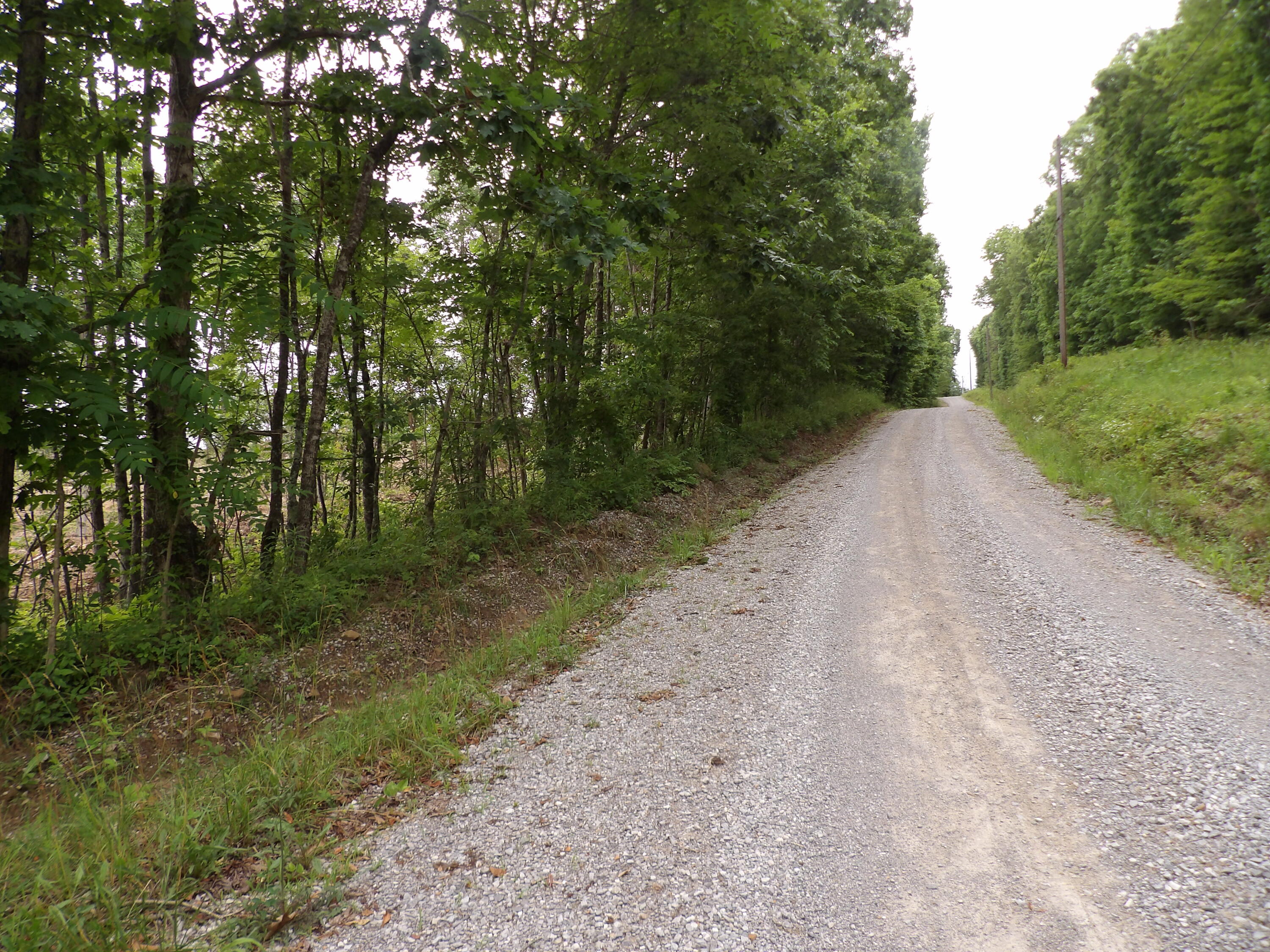 Lot 9 Hughes Cemetery Road, Unit 9 Evensville, TN 37332 - Photo 14 of 15 100_1589