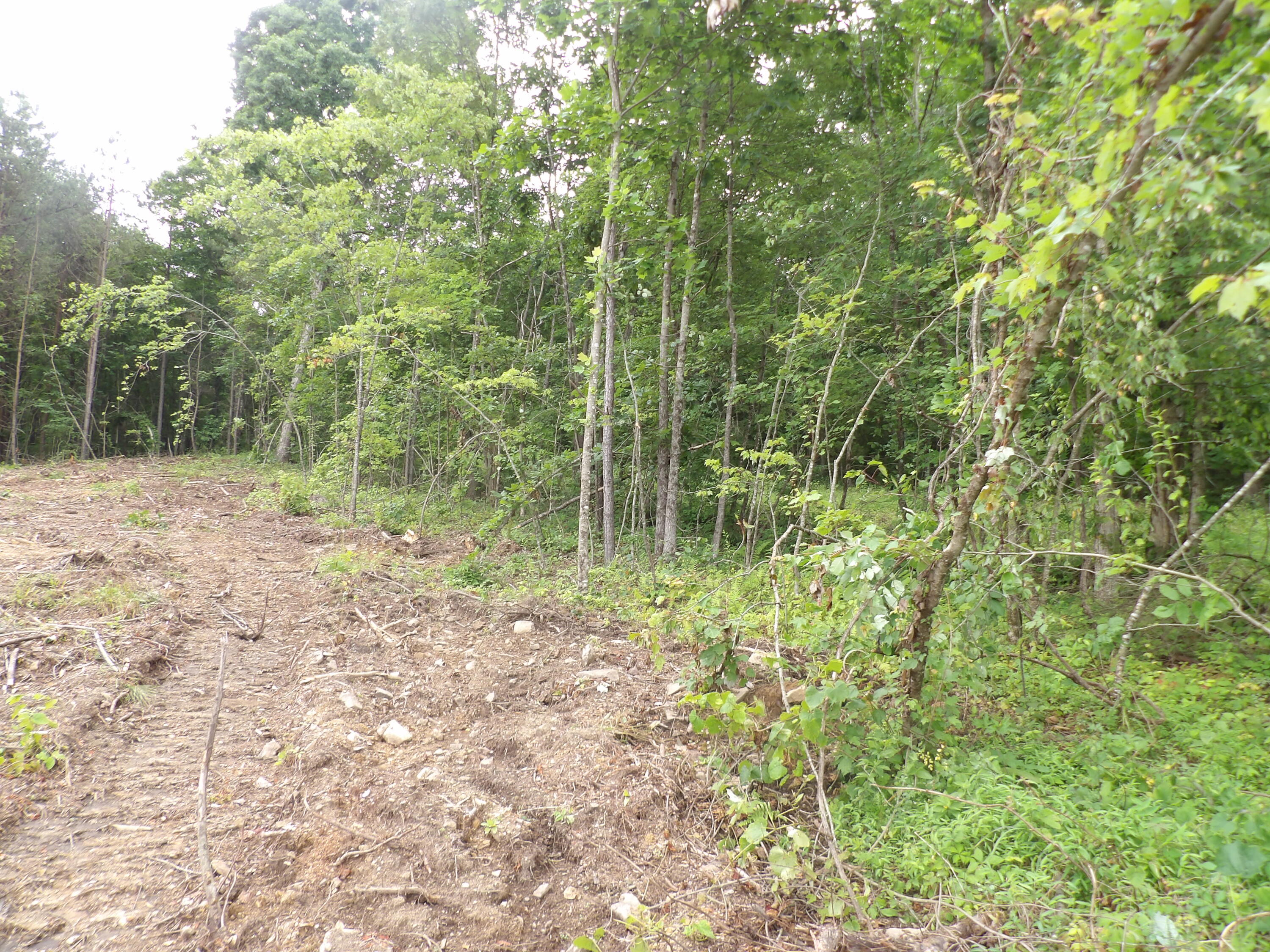 Lot 9 Hughes Cemetery Road, Unit 9 Evensville, TN 37332 - Photo 9 of 15 100_1596