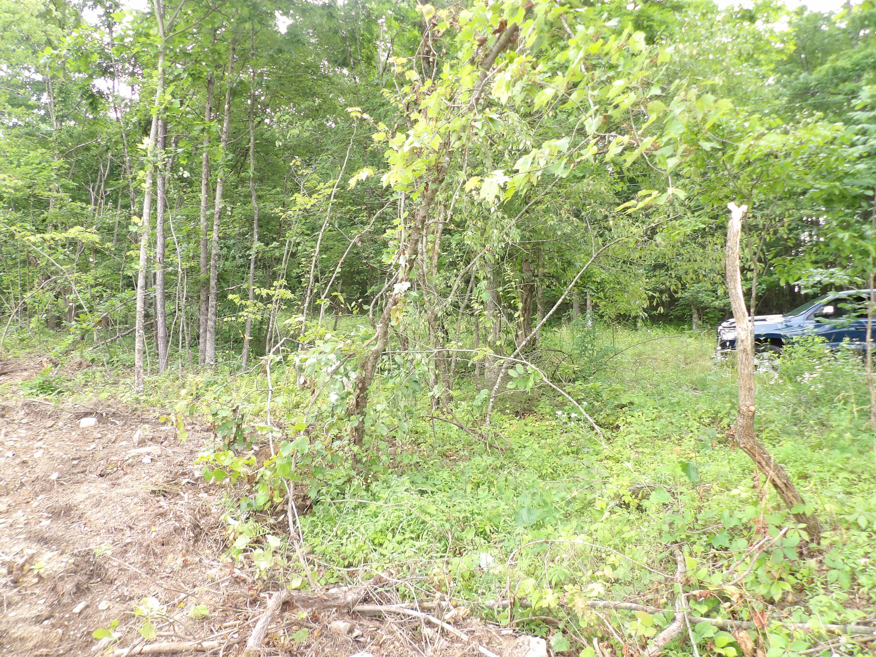Lot 9 Hughes Cemetery Road, Unit 9 Evensville, TN 37332 - Photo 10 of 15 100_1597