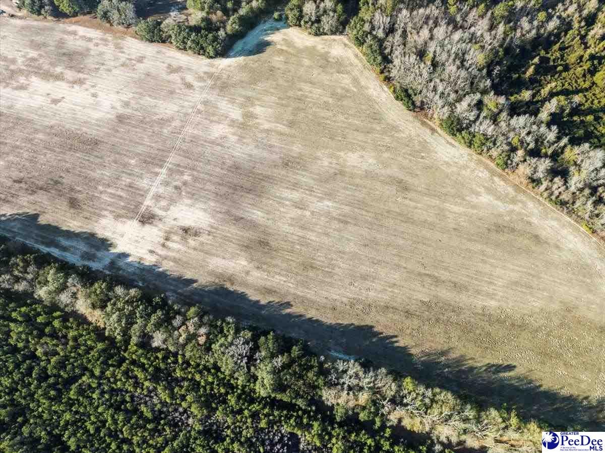 6 Off Flinn Road Manning, SC 29102 - Photo 3 of 17 Gallery Image 3