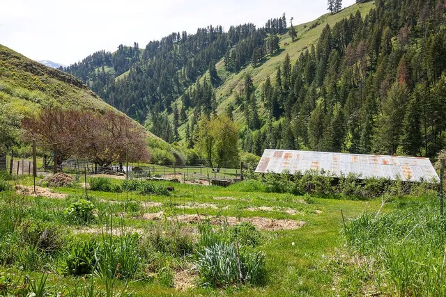 $1,200,000 | 559 Kessler Creek Road, Riggins, ID 83549