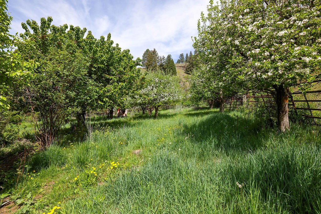 559 Kessler Creek Road Riggins, ID 83549 - Photo 12 of 49