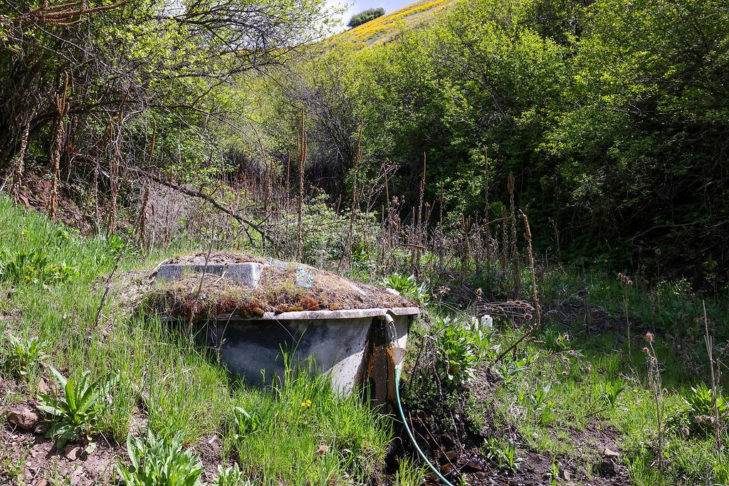 559 Kessler Creek Road Riggins, ID 83549 - Photo 13 of 49