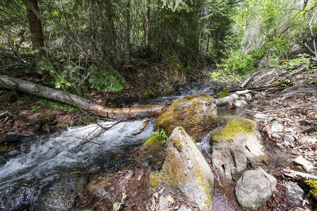 $1,200,000 | 559 Kessler Creek Road, Riggins, ID 83549