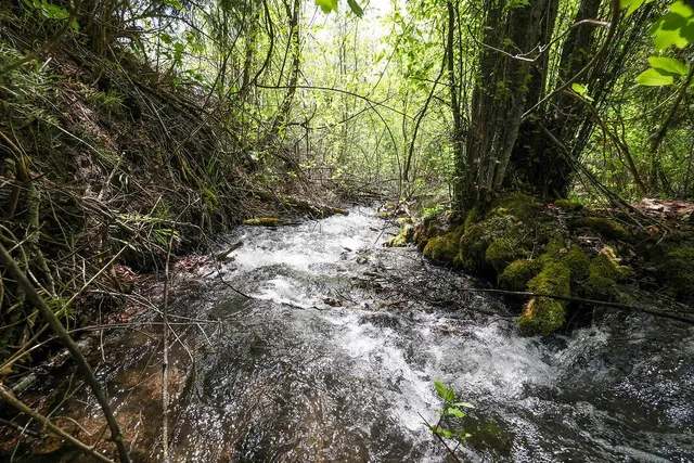 $1,200,000 | 559 Kessler Creek Road, Riggins, ID 83549