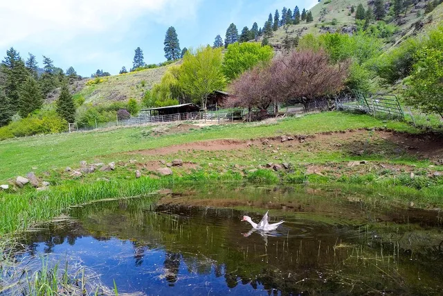 $1,200,000 | 559 Kessler Creek Road, Riggins, ID 83549