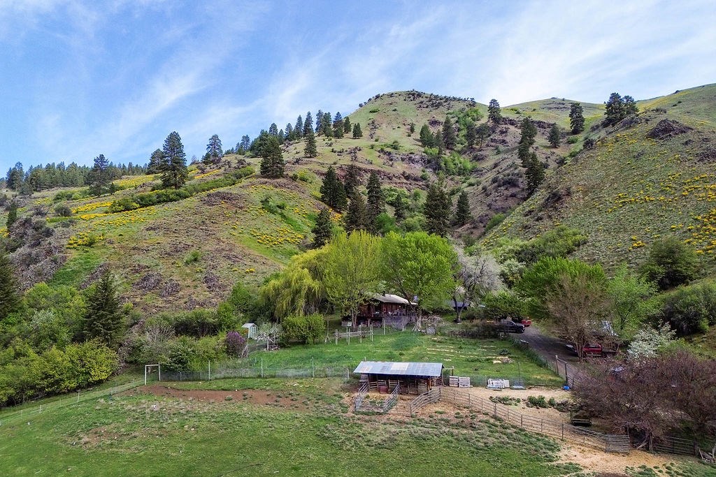 559 Kessler Creek Road Riggins, ID 83549 - Photo 2 of 49