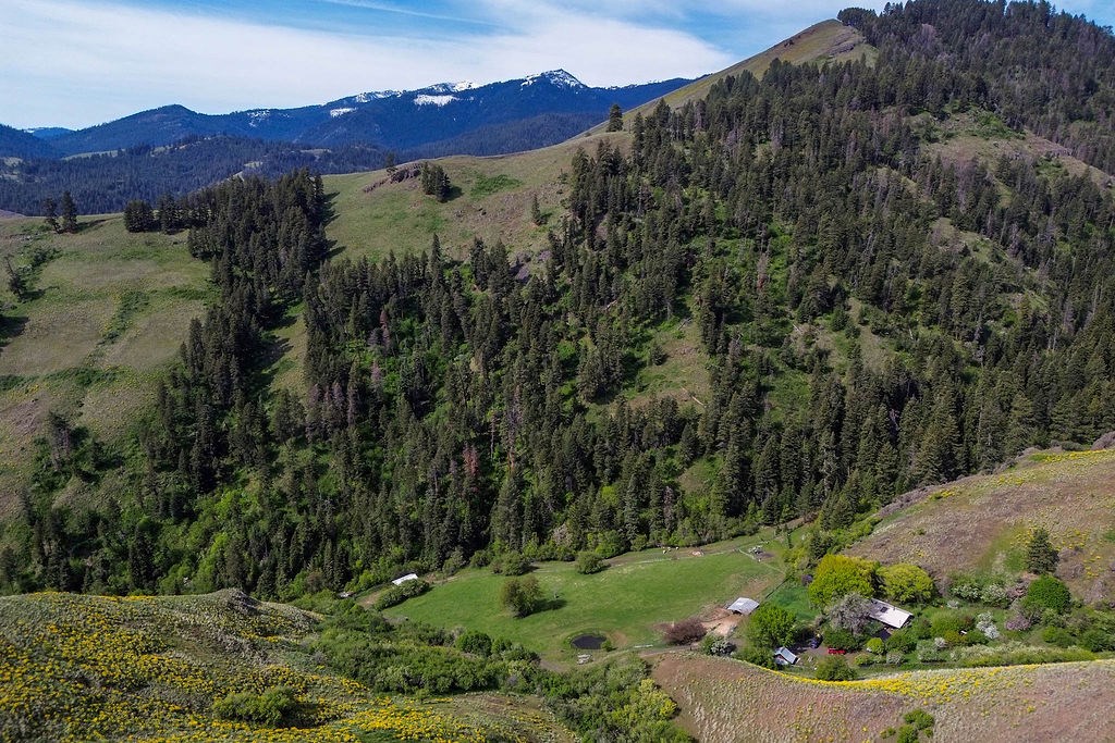 559 Kessler Creek Road Riggins, ID 83549 - Photo 22 of 49