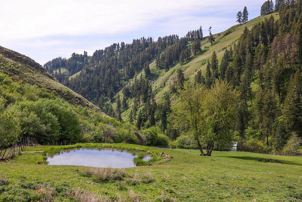 559 Kessler Creek Road Riggins, ID 83549 - Photo 26 of 49