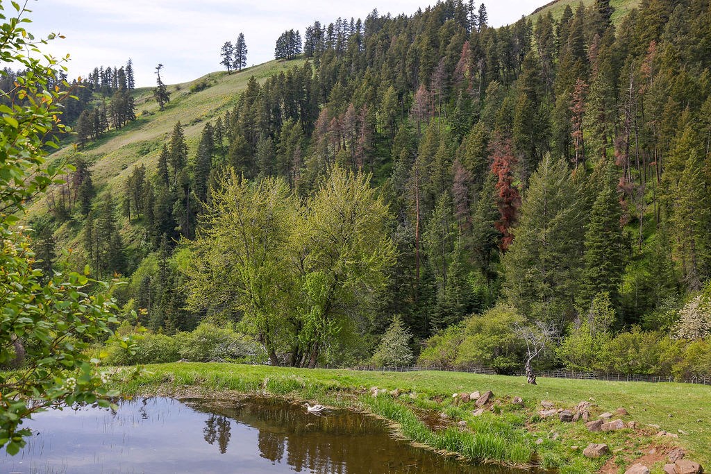 559 Kessler Creek Road Riggins, ID 83549 - Photo 27 of 49