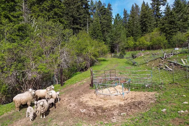 $1,200,000 | 559 Kessler Creek Road, Riggins, ID 83549