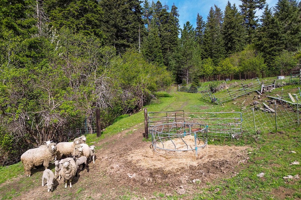 559 Kessler Creek Road Riggins, ID 83549 - Photo 28 of 49