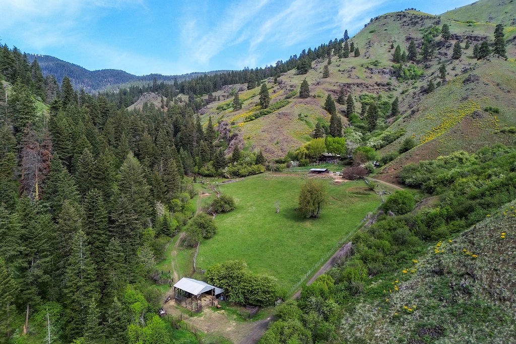 559 Kessler Creek Road Riggins, ID 83549 - Photo 7 of 49