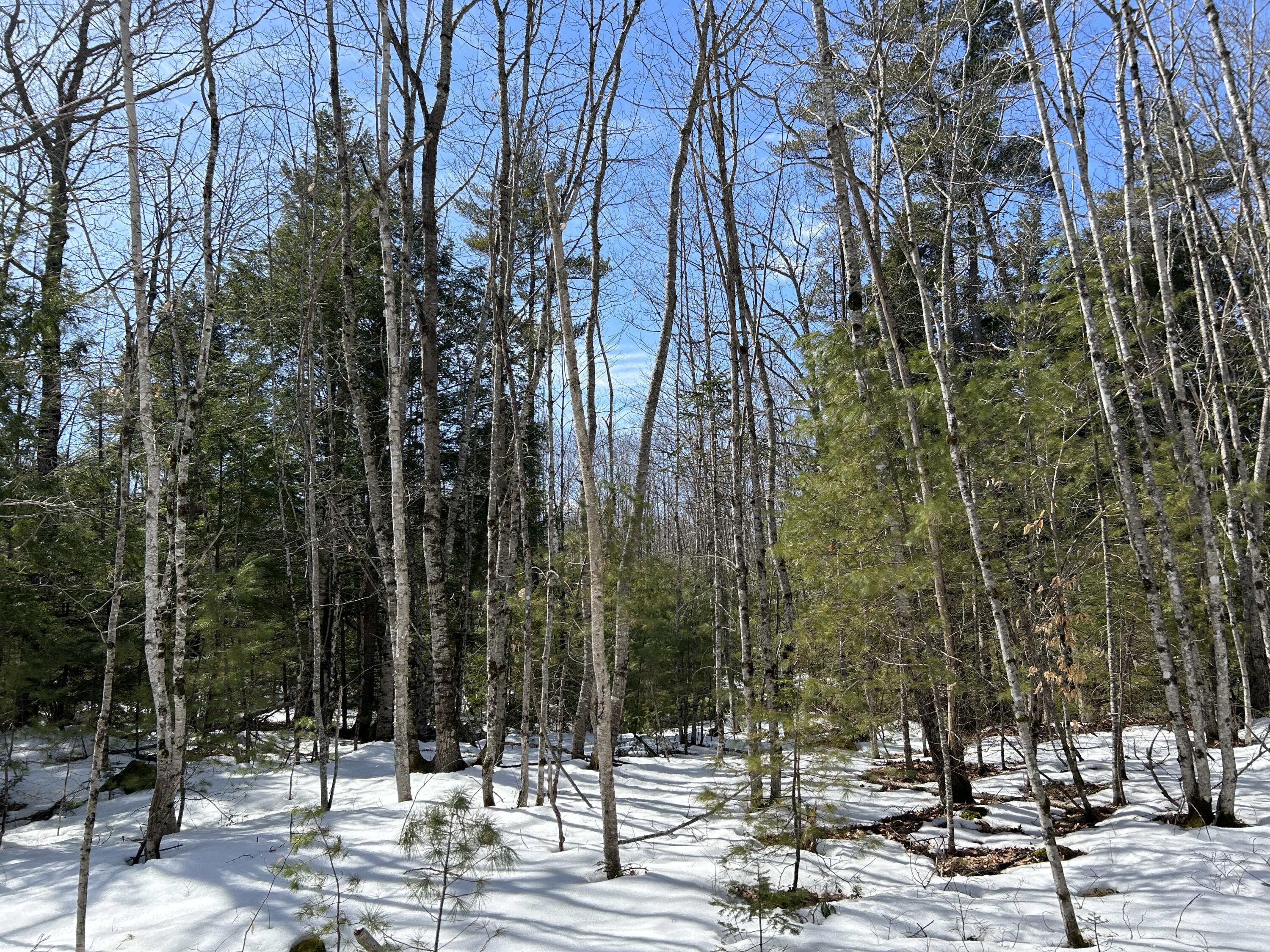 Lot 4 Turner Ridge Road Somerville, ME 04348 - Photo 9 of 13 E52942FE-2B99-4B9C-8022-47D847F53C9C