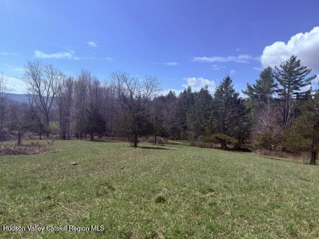 0 Van Etten Road Prattsville, NY 12468 - Photo 24 of 34 IMG_3168
