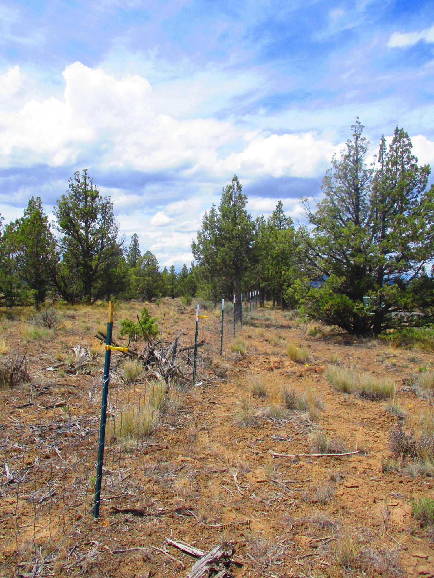 Tl7100 Southeast Cayuse Road Prineville, OR 97754 - Photo 10 of 12 10