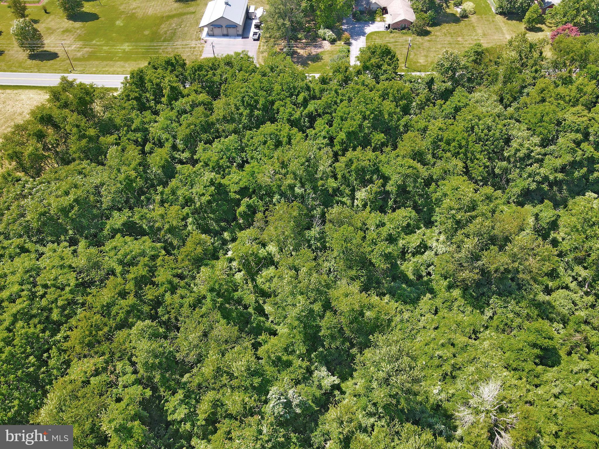 11525 Big Pool Road, Unit LOT 10 Big Pool, MD 21711 - Photo 7 of 22