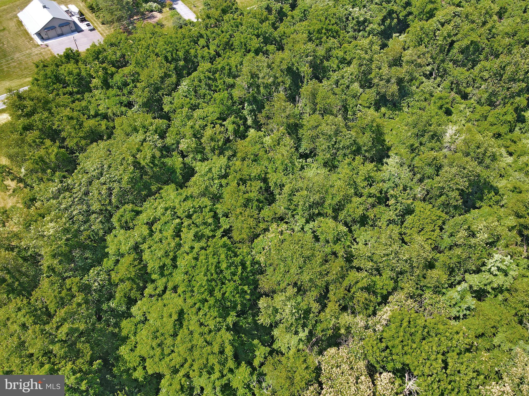 11525 Big Pool Road, Unit LOT 10 Big Pool, MD 21711 - Photo 9 of 22