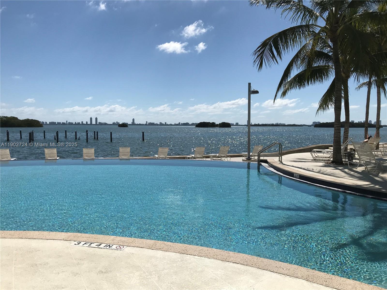 a view of a swimming pool with a yard