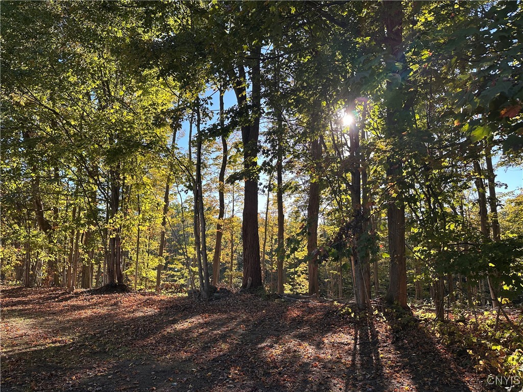 353 County Rte 35 Palermo, NY 13069 - Photo 49 of 50 Sun setting in backyard