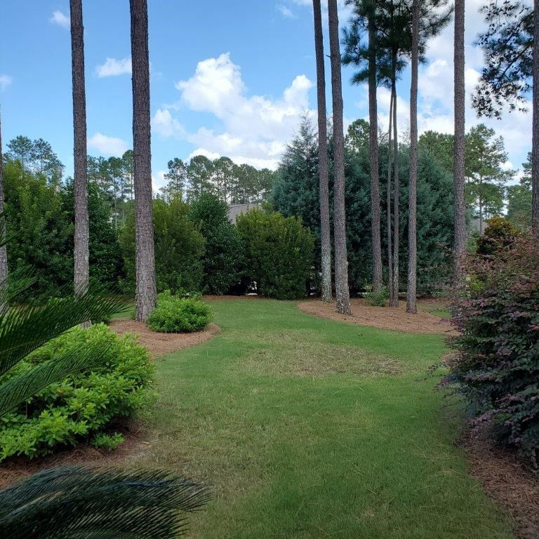 111 Pinyon Pine Loop Aiken, SC 29803 - Photo 39 of 44
