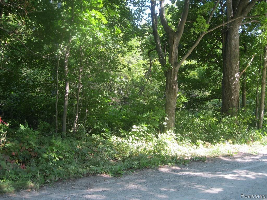 Ob Green Ob Green Green Road Goodells, MI 48027 - Photo 1 of 10