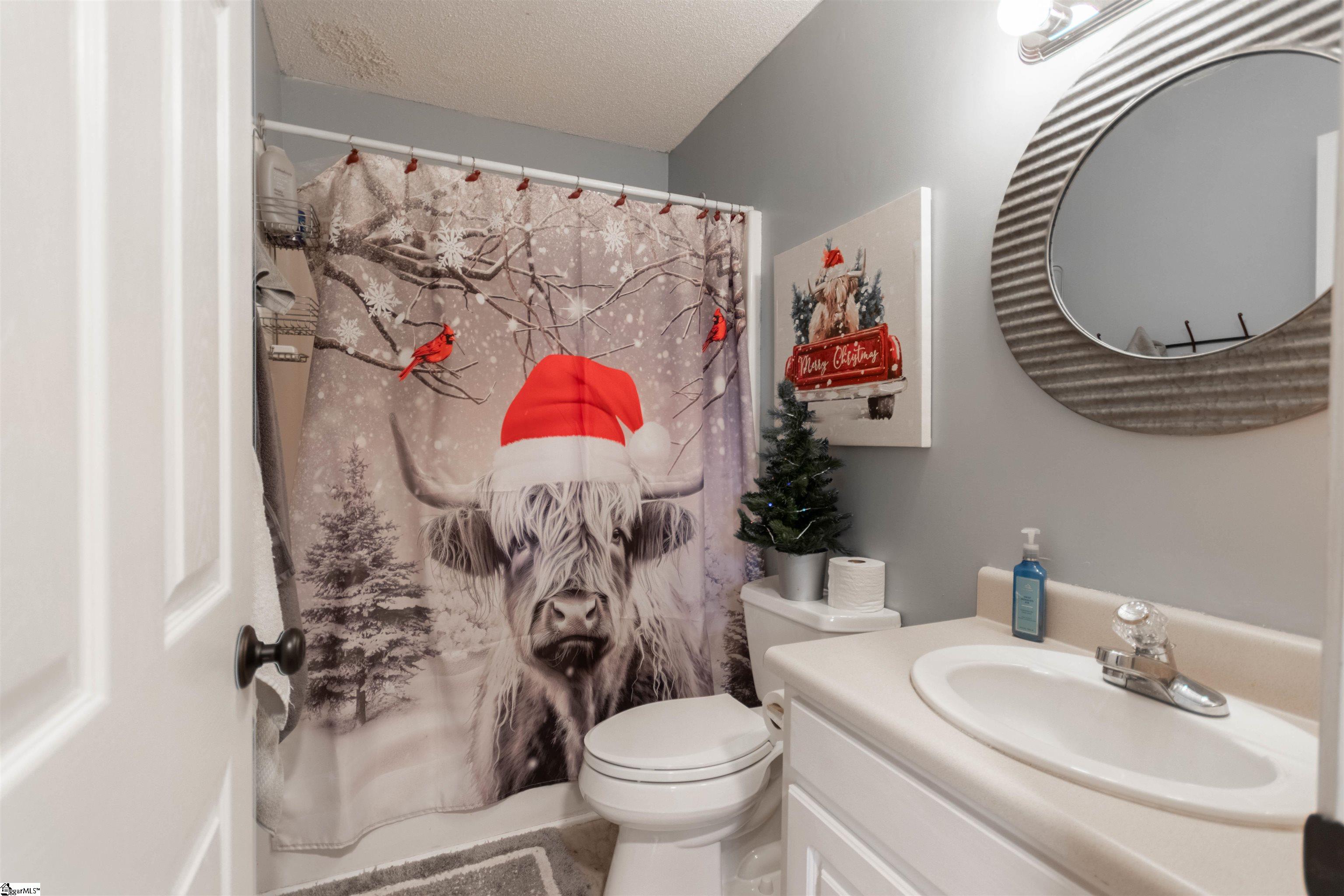 107 Cherrywood Road Woodruff, SC 29388 - Photo 17 of 21 Gallery Image 17