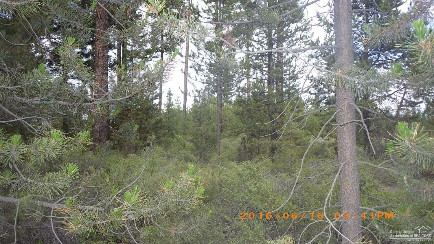 51494 Ash Road La Pine, OR 97739 - Photo 2 of 4 Additional Photo