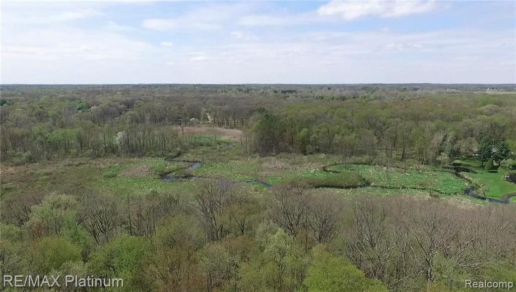 0 McClements Road Brighton, MI 48114 - Photo 8 of 15