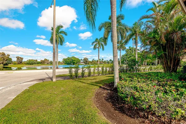 a view of a park with palm trees